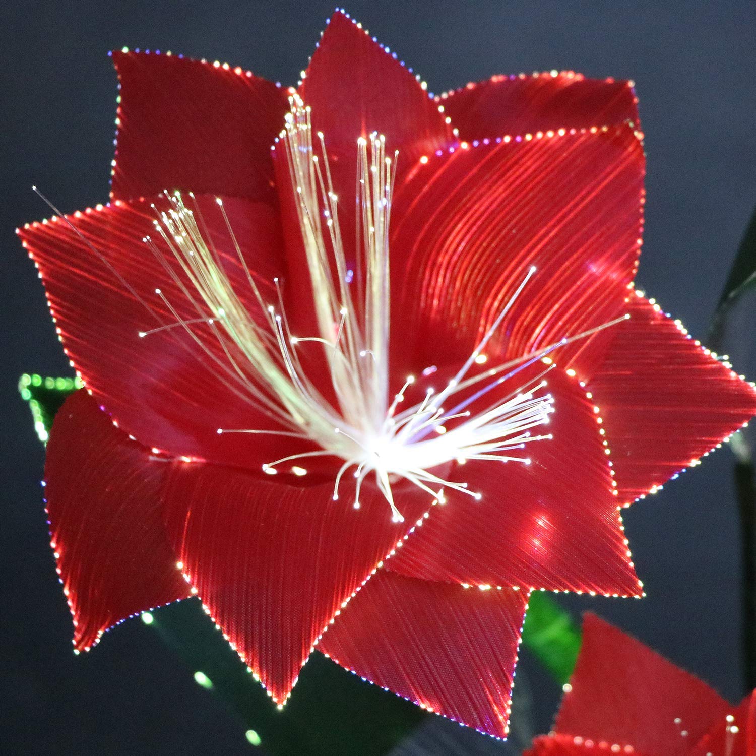 Tronje, LED-Kunstblumen, Weihnachtstern Rot, 15x15x40cm, mit Steckernetzteil